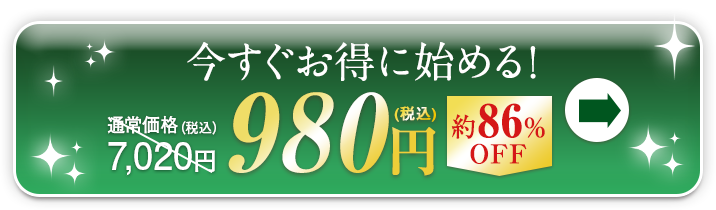 今すぐお得に始める！ 980円（税込）